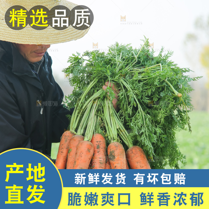 手里拿着胡萝卜