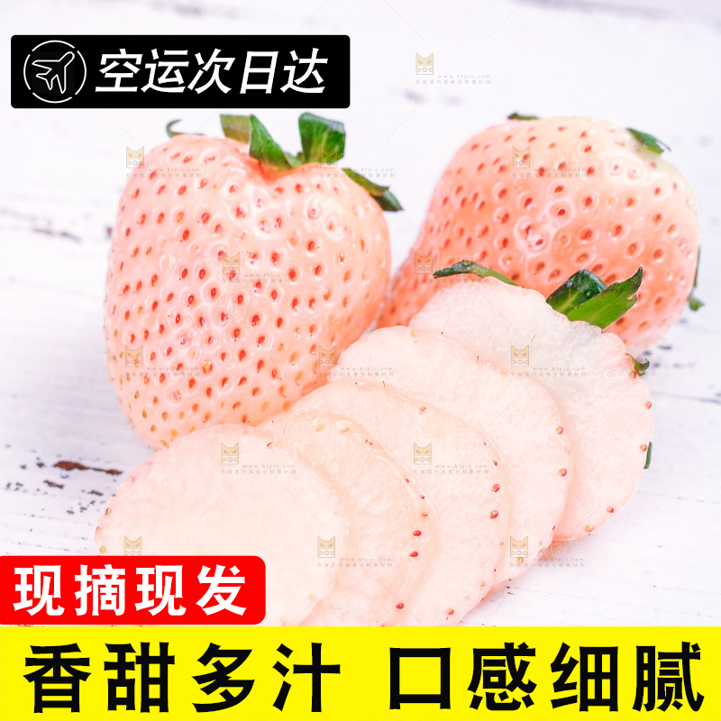 浅底上的淡雪草莓