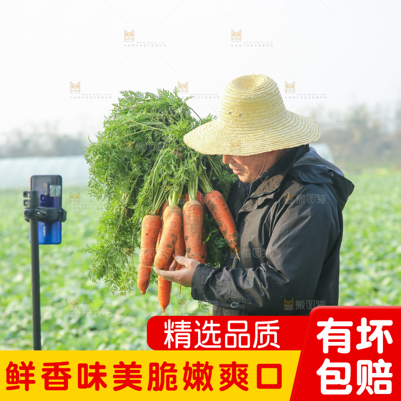 手里拿着胡萝卜
