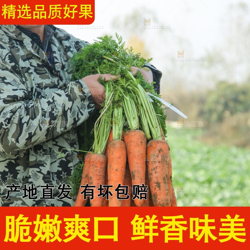 手里拿着胡萝卜