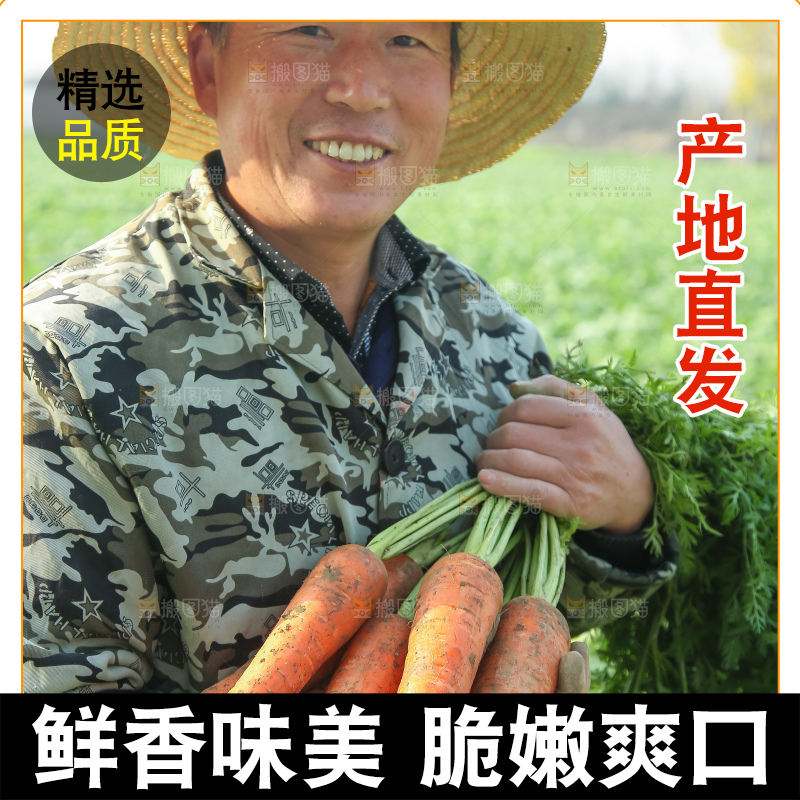 手里拿着胡萝卜