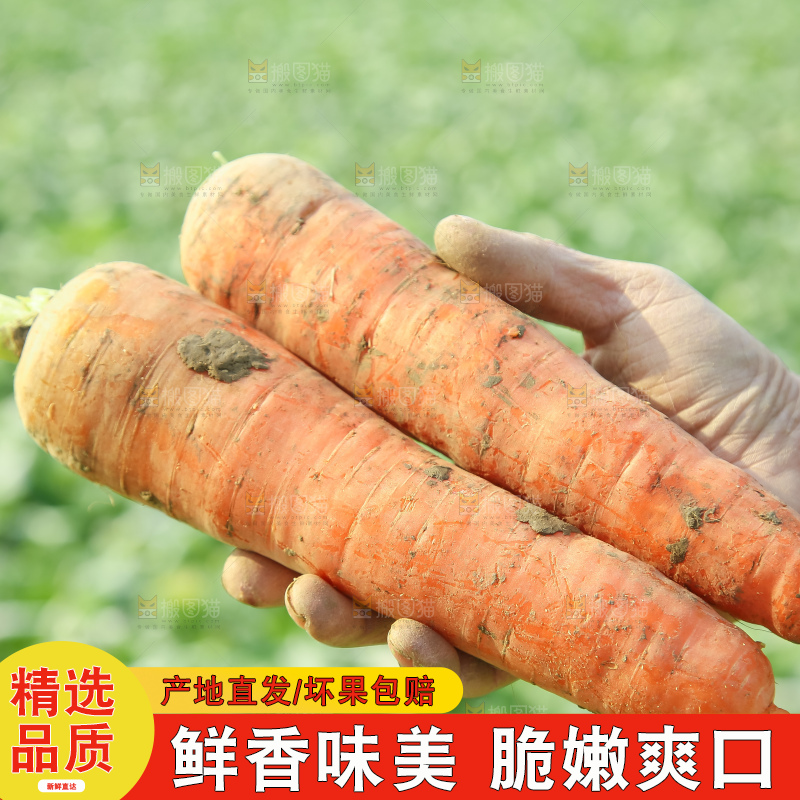 手里拿着胡萝卜