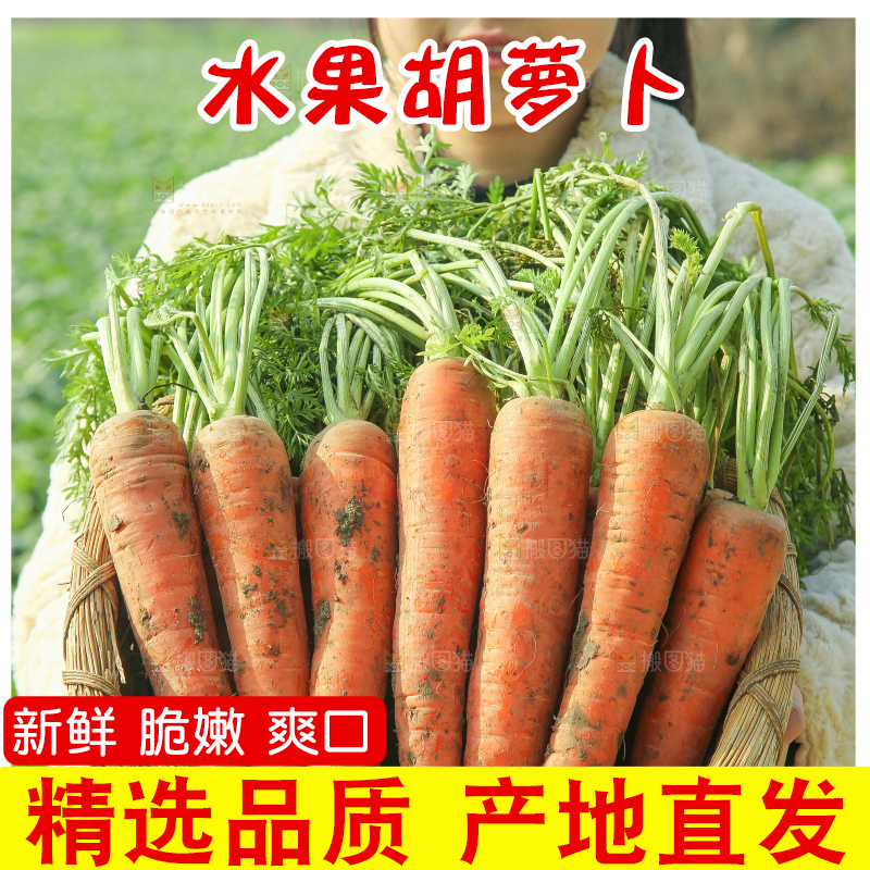 手里拿着胡萝卜