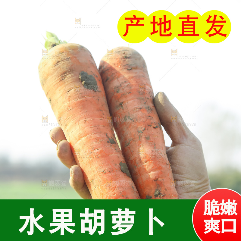 手里拿着胡萝卜