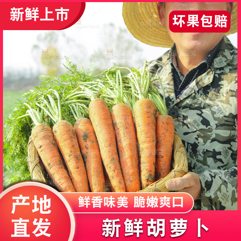 手里拿着胡萝卜