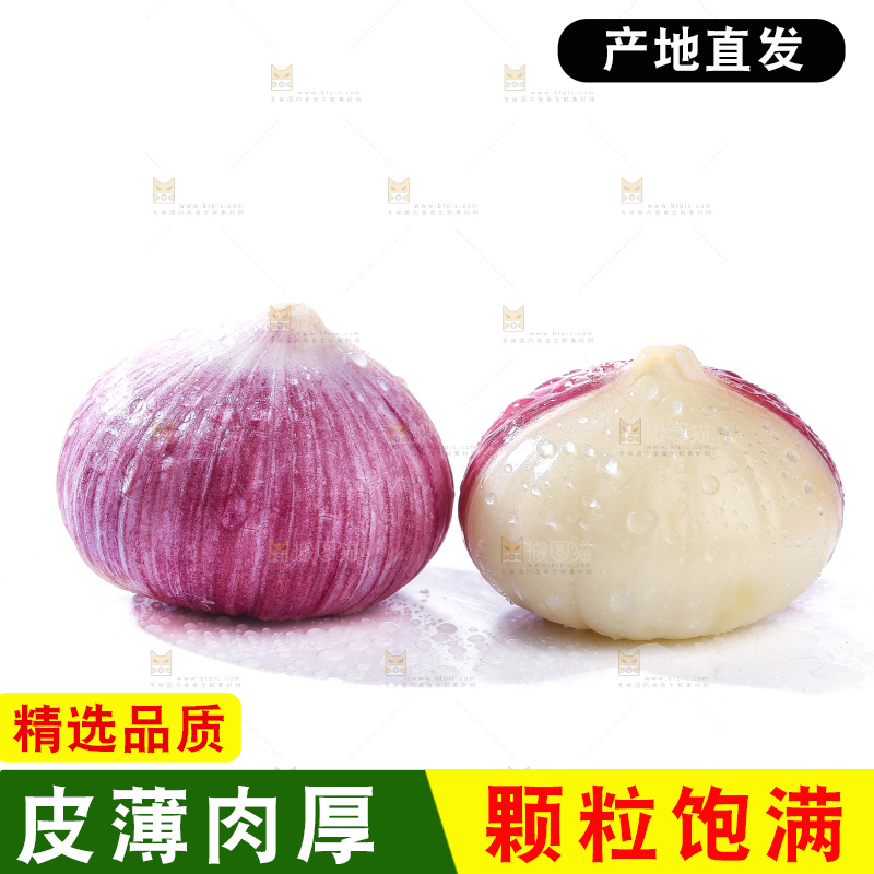 白底上的紫皮独头蒜