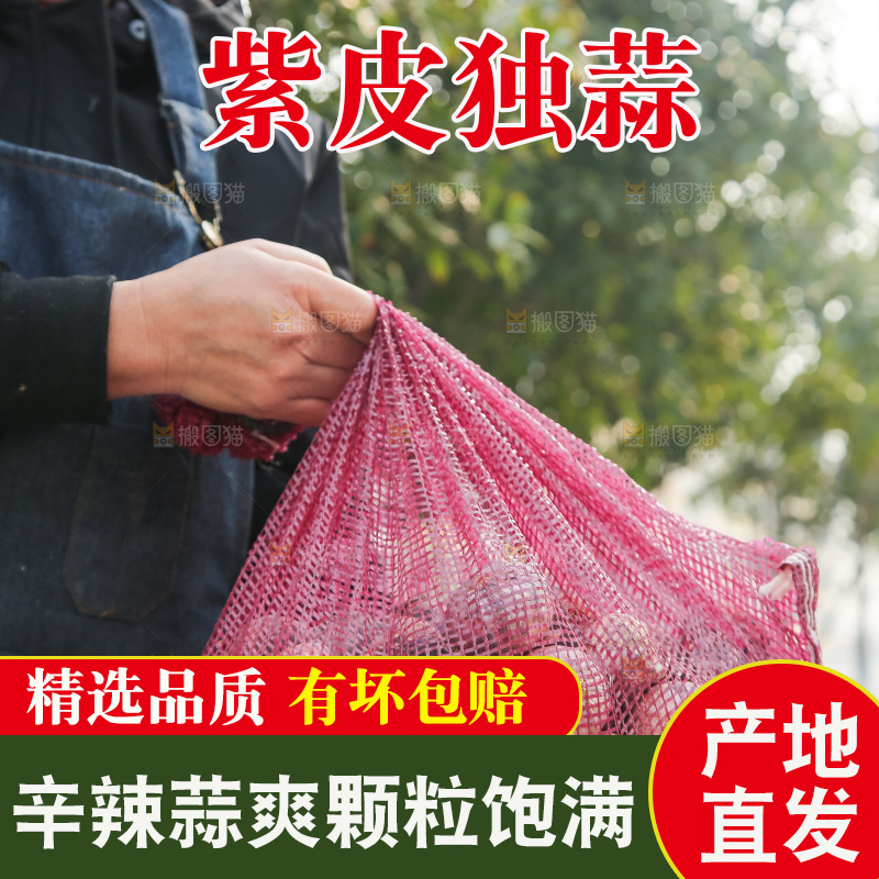手里拿着紫皮独头蒜
