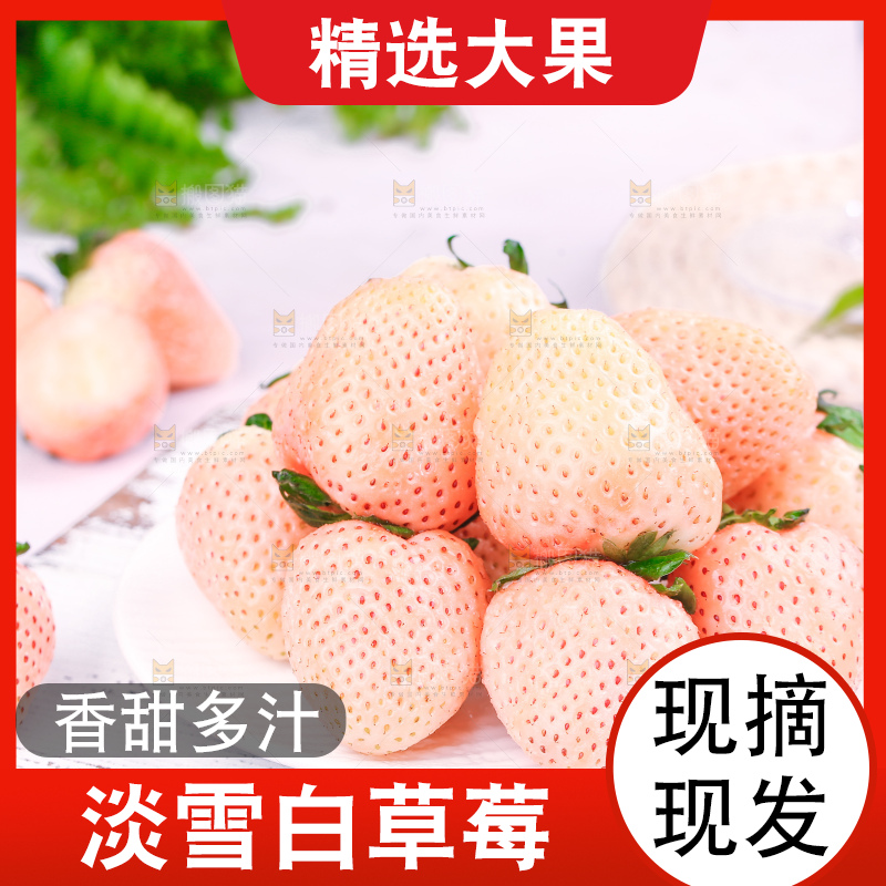 浅底上的淡雪草莓