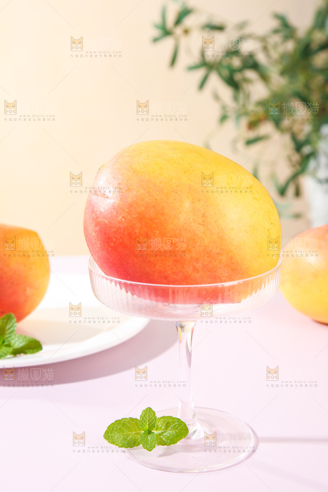 浅底上的澳芒