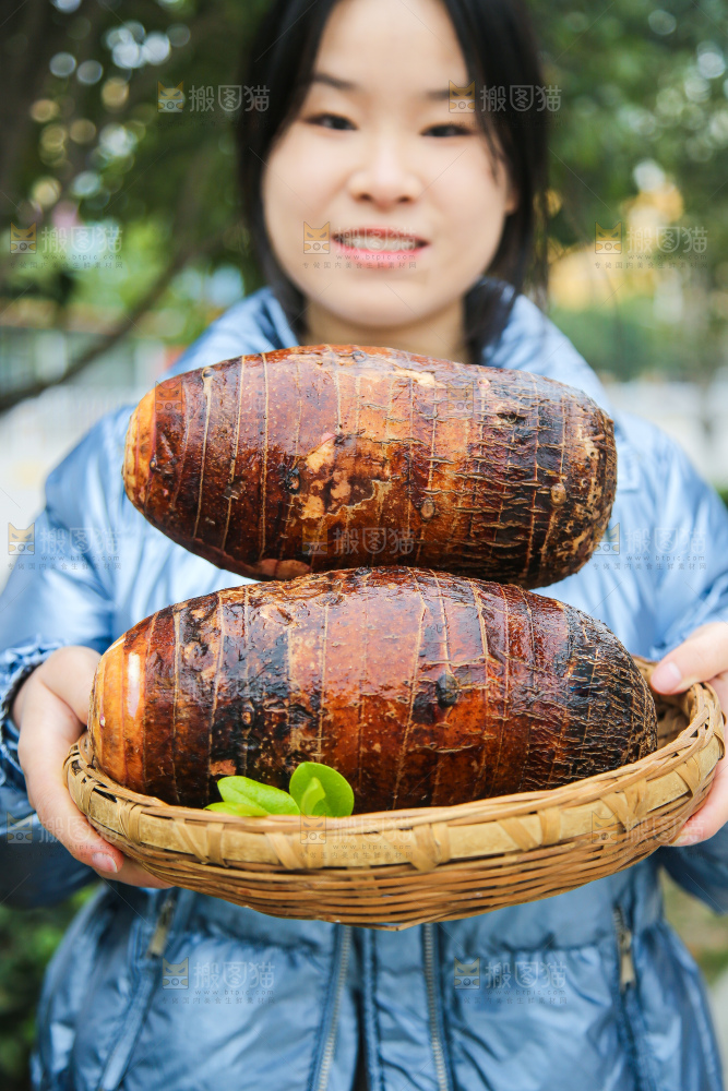 手里拿着荔浦芋头