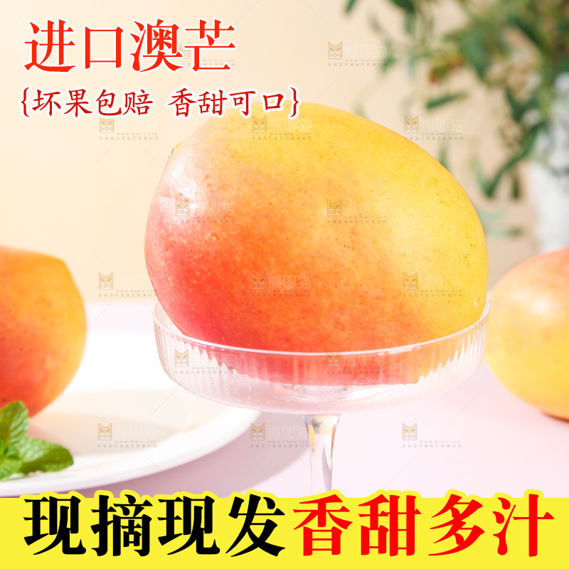 浅底上的澳芒