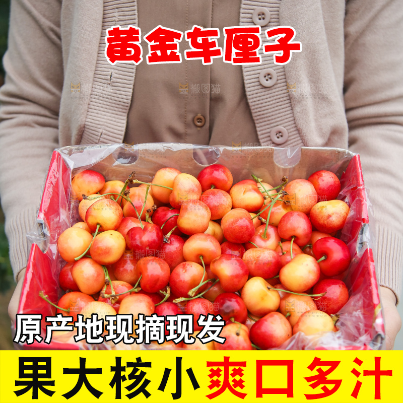 手里拿着黄金车厘子