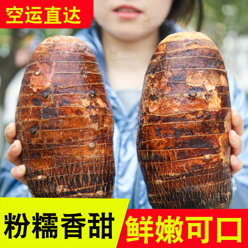 手里拿着荔浦芋头