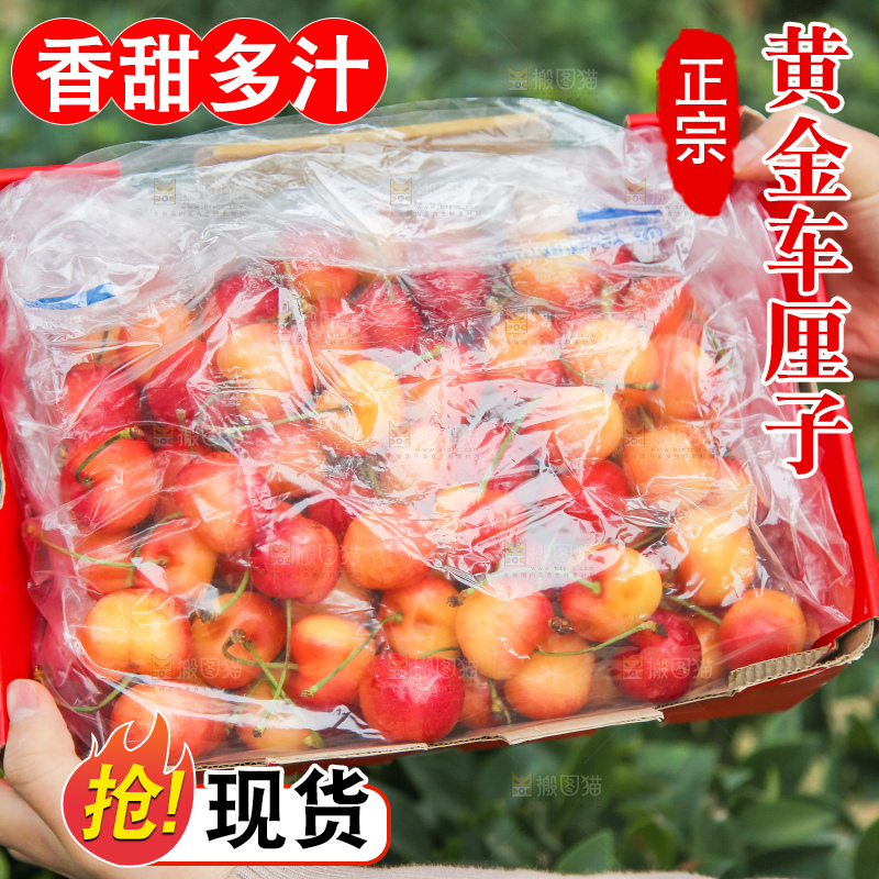 手里拿着黄金车厘子