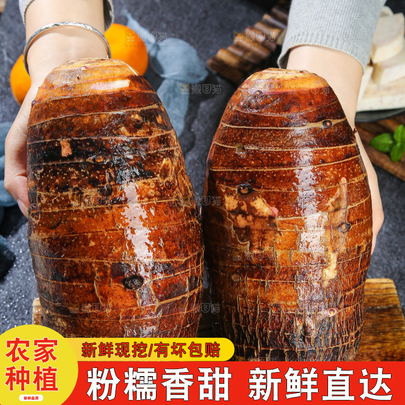 深底上的荔浦芋头
