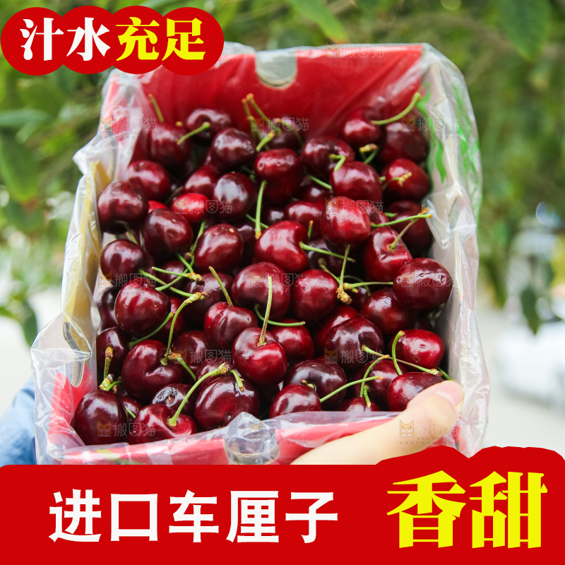 手里拿着智利车厘子