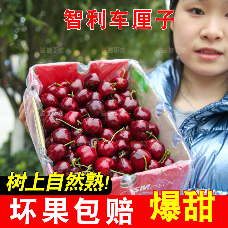 手里拿着智利车厘子