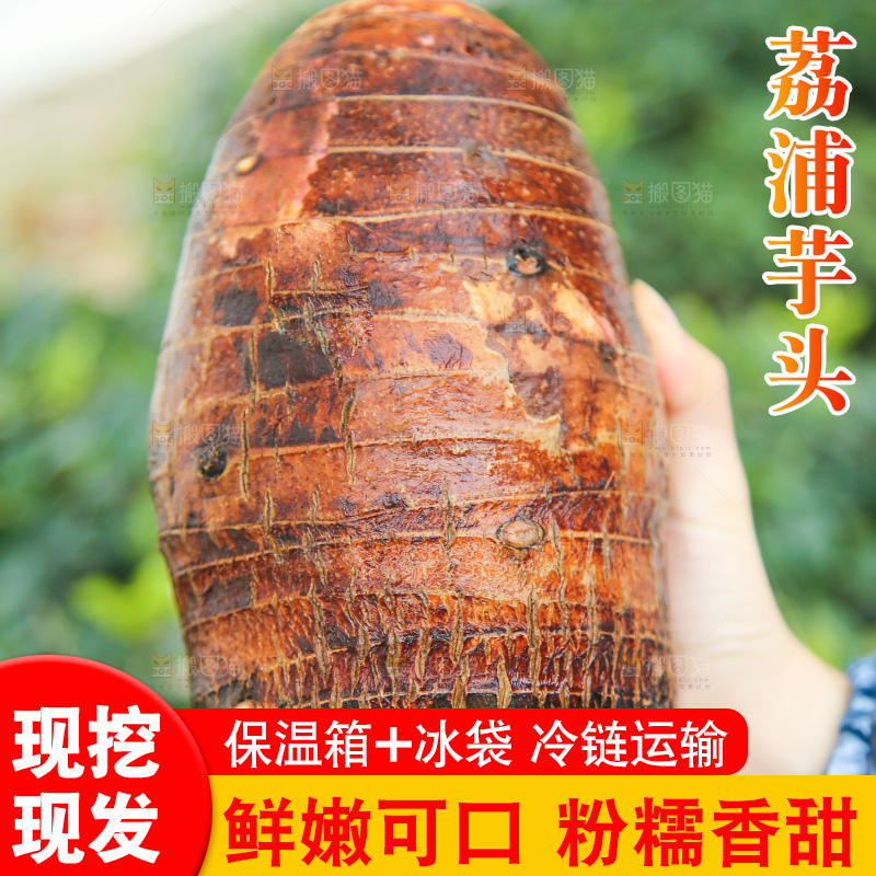 手里拿着荔浦芋头