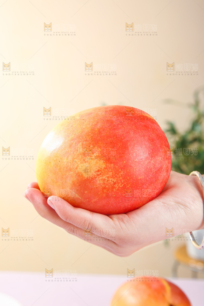 浅底上的澳芒