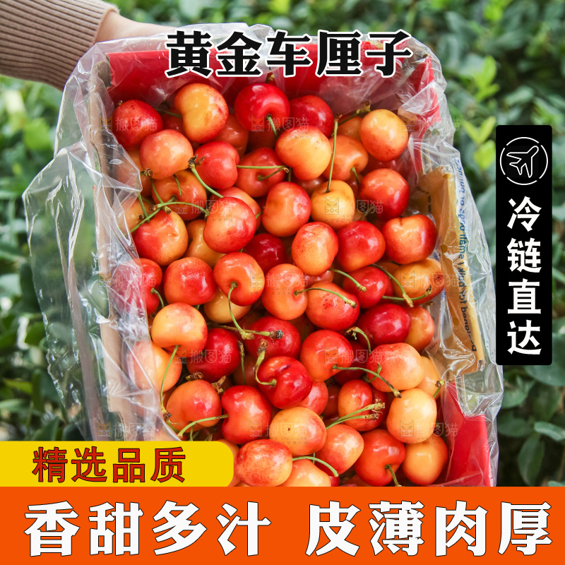 手里拿着黄金车厘子