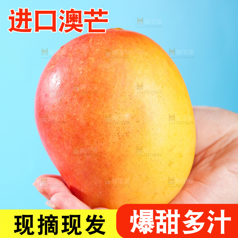 浅底上的澳芒