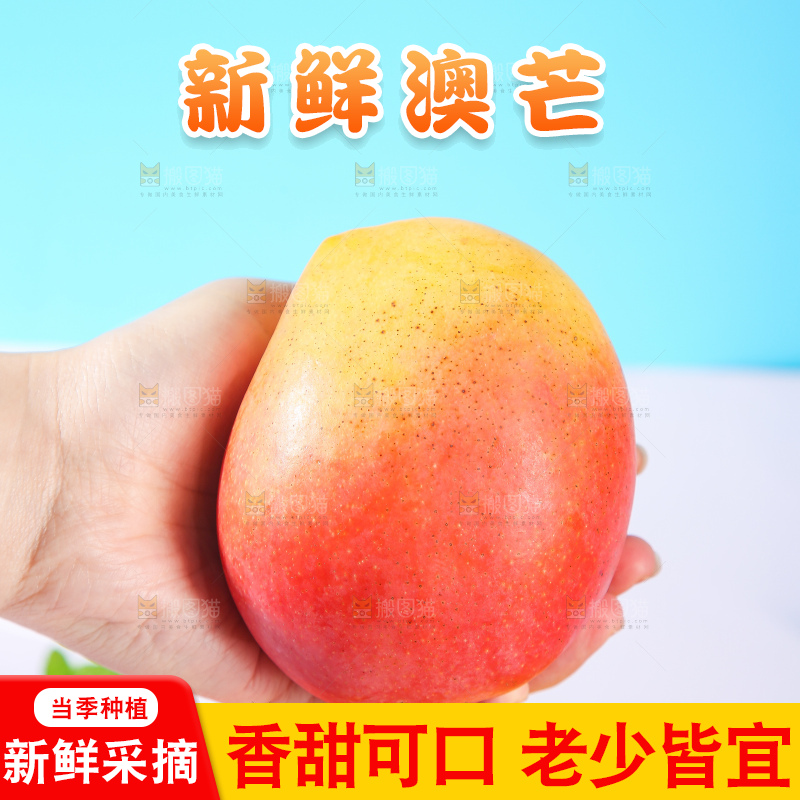 浅底上的澳芒