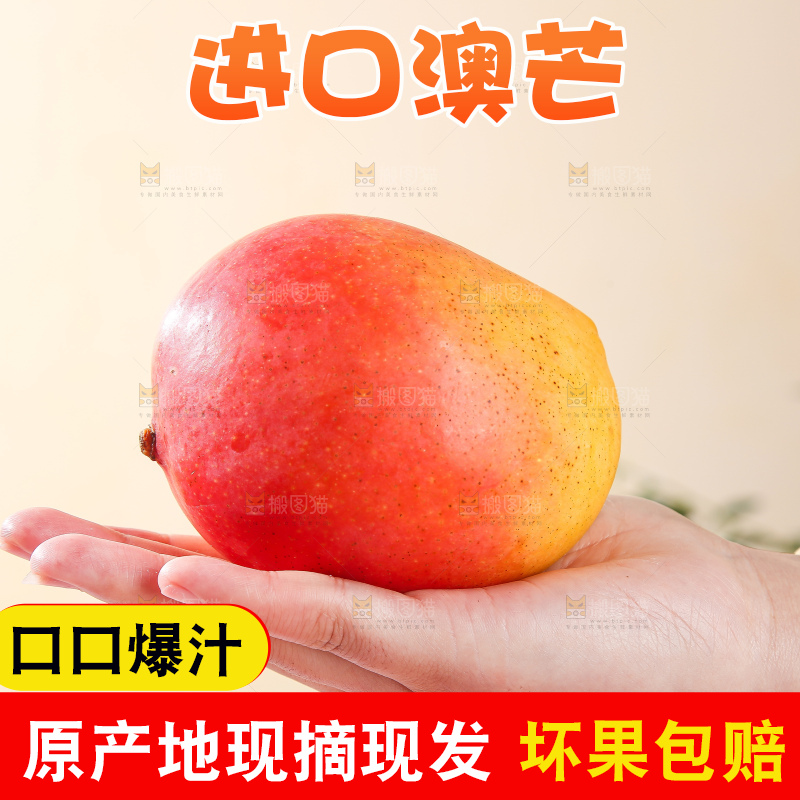 浅底上的澳芒