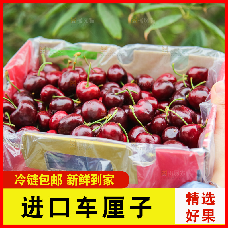 手里拿着智利车厘子