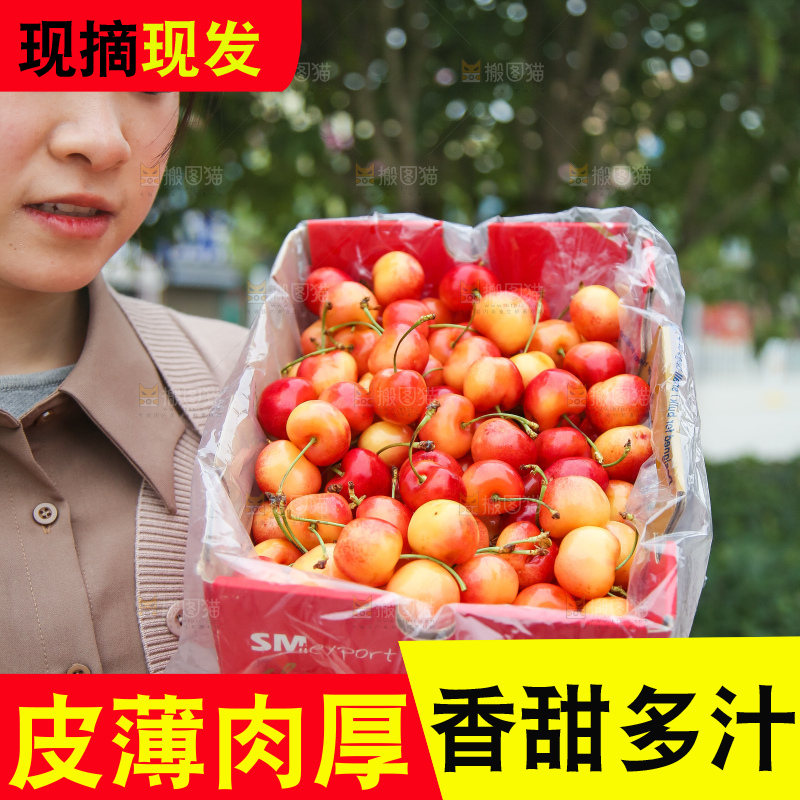 手里拿着黄金车厘子