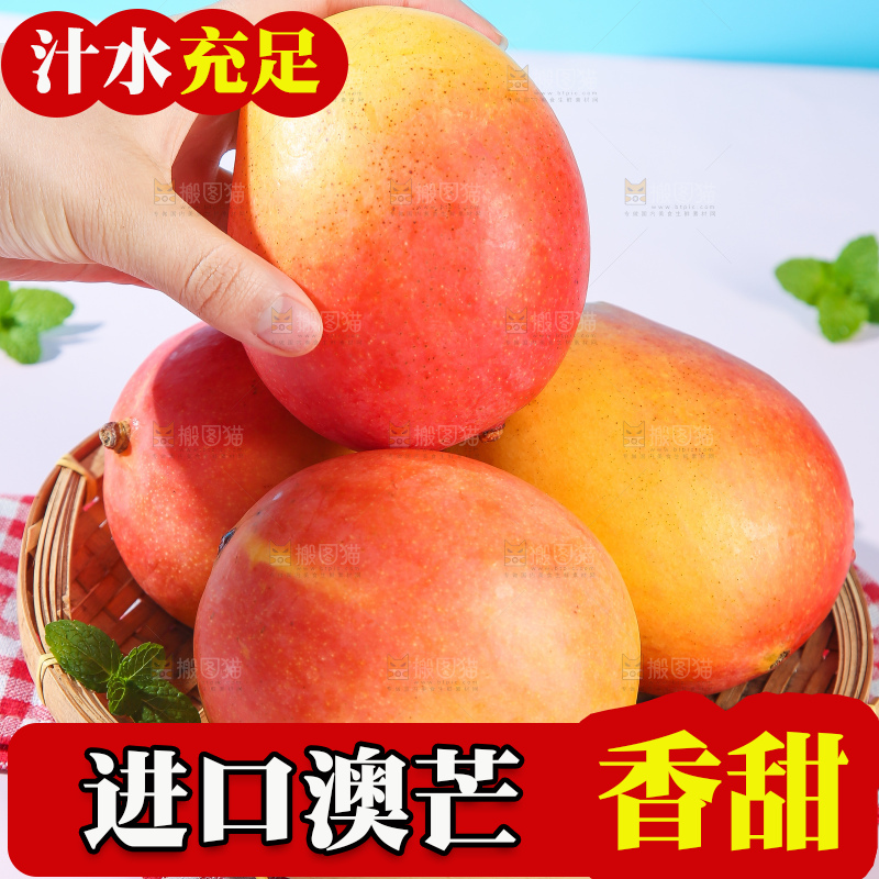 浅底上的澳芒