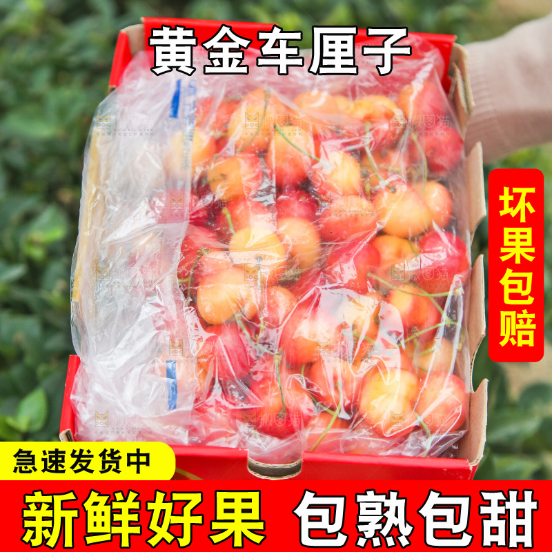 手里拿着黄金车厘子
