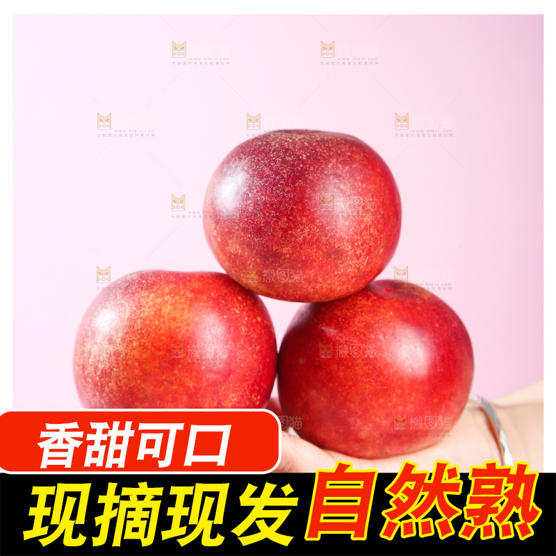 浅底上的澳洲油桃