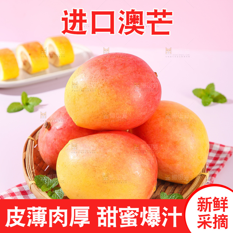 浅底上的澳芒
