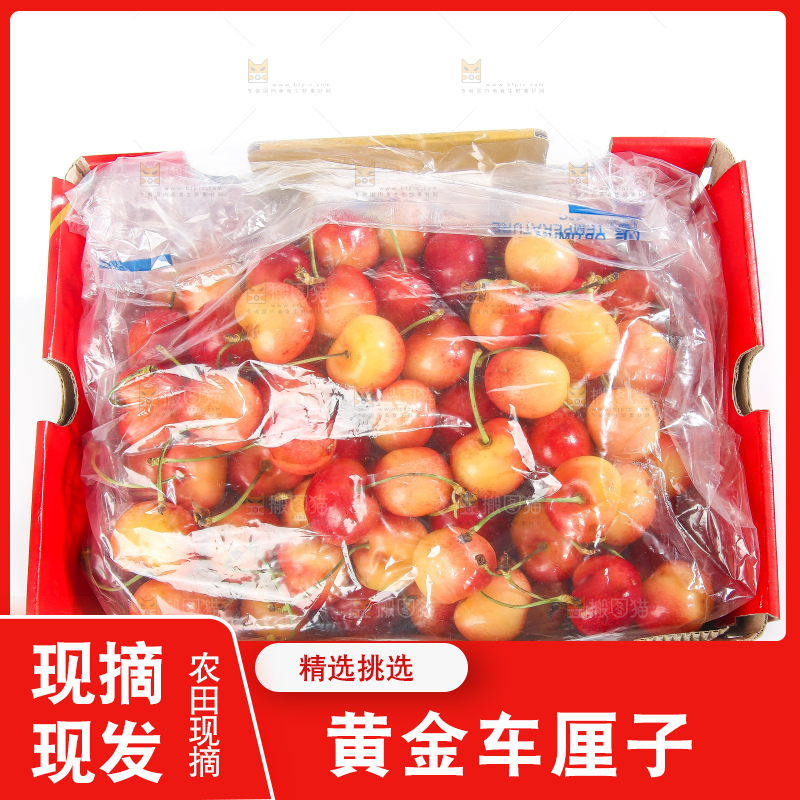白底上的黄金车厘子