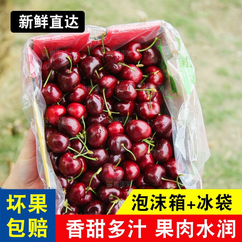 手里拿着智利车厘子