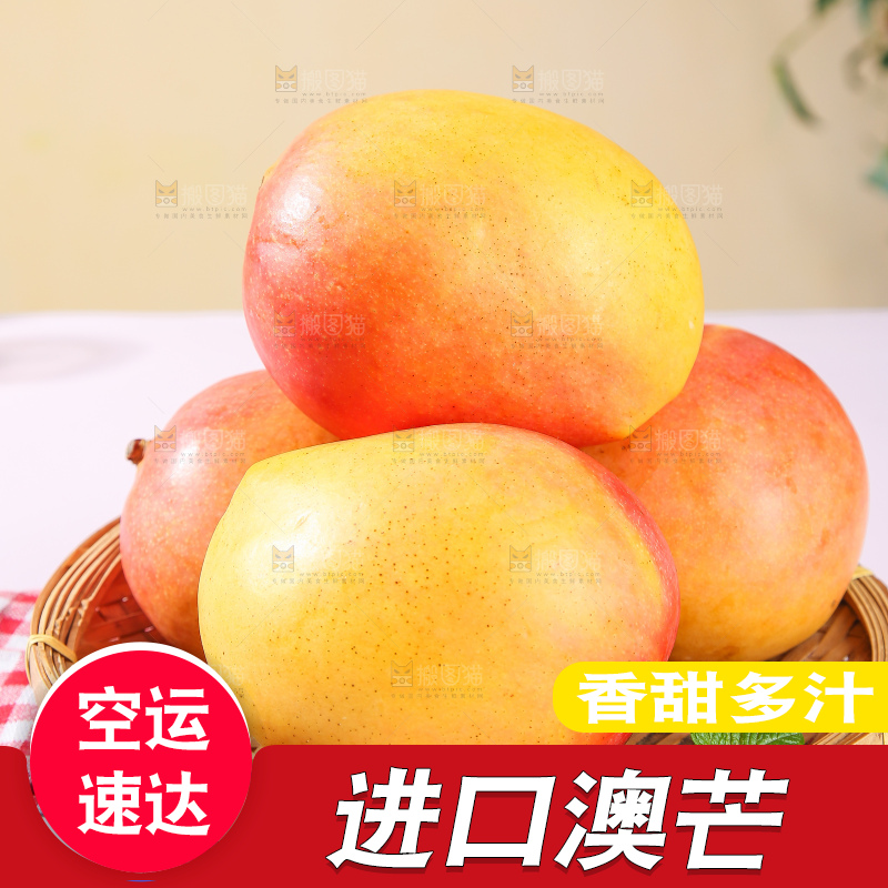 浅底上的澳芒