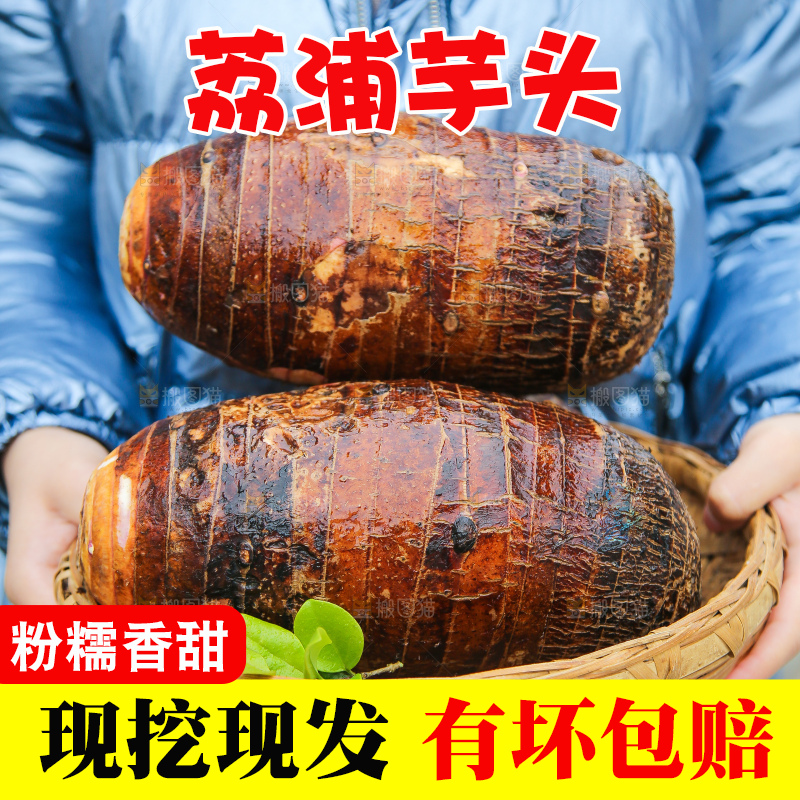 手里拿着荔浦芋头