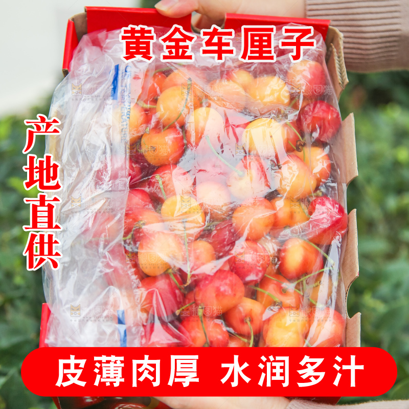 手里拿着黄金车厘子