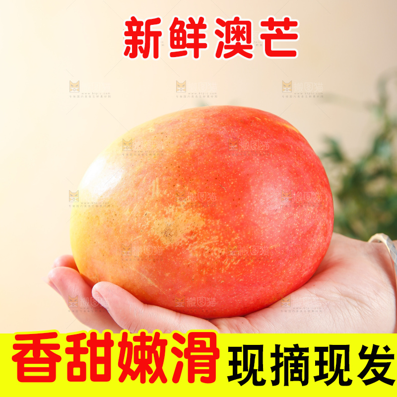 浅底上的澳芒