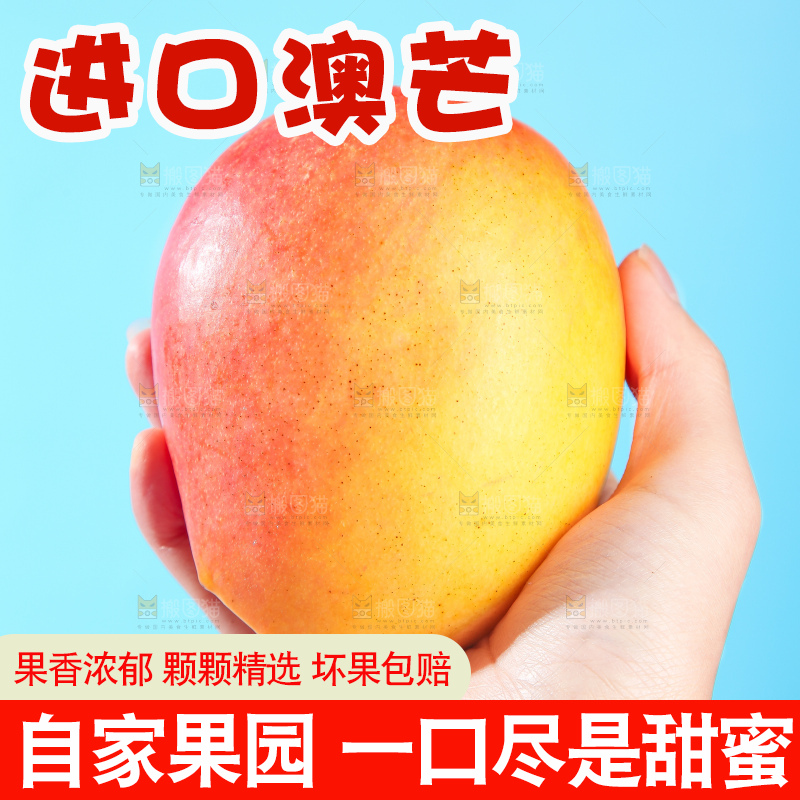 浅底上的澳芒