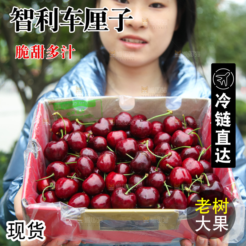 手里拿着智利车厘子