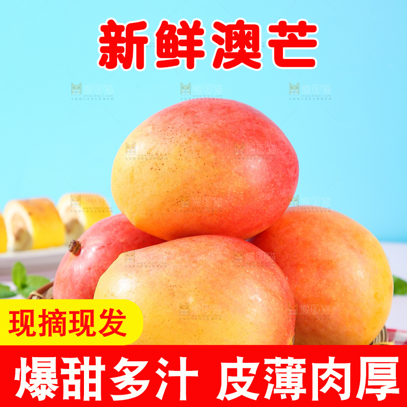 浅底上的澳芒