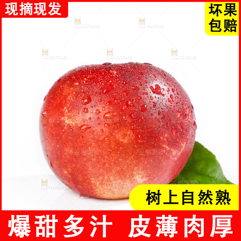 白底上的澳洲油桃