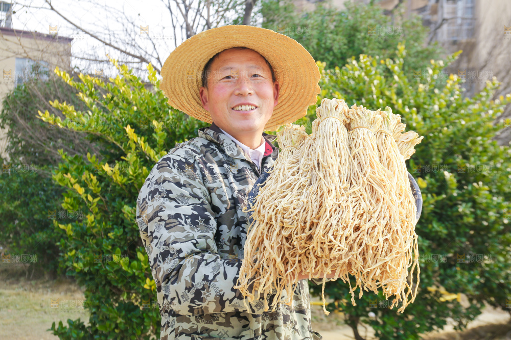 手里拿着干萝卜条