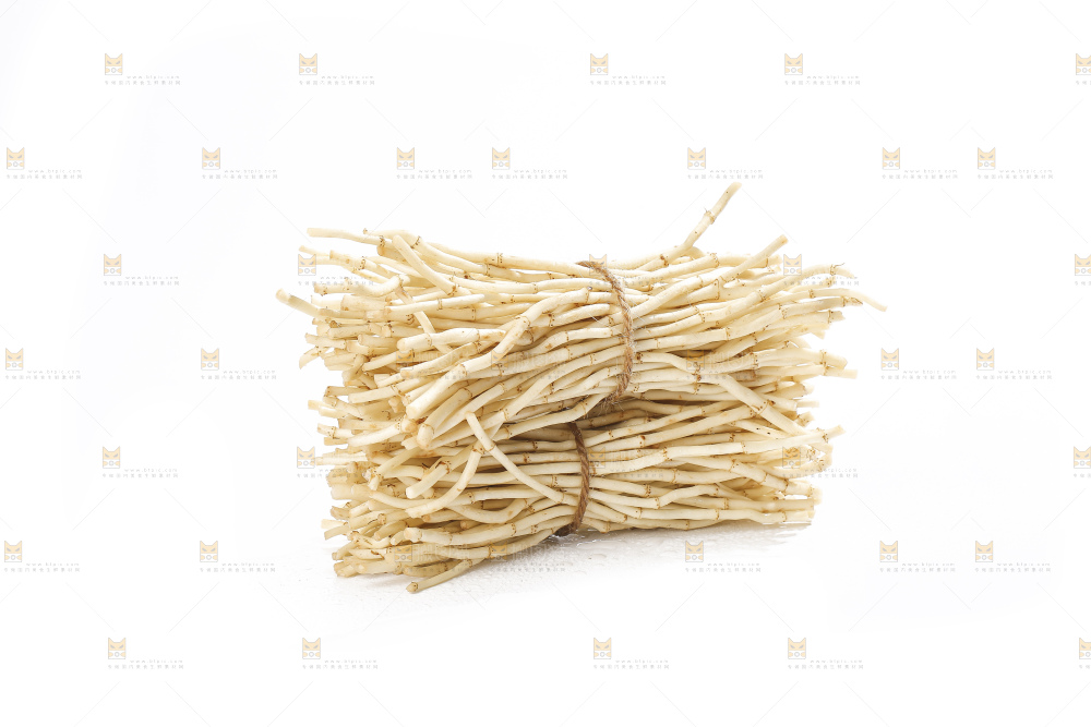 白底上的折耳根