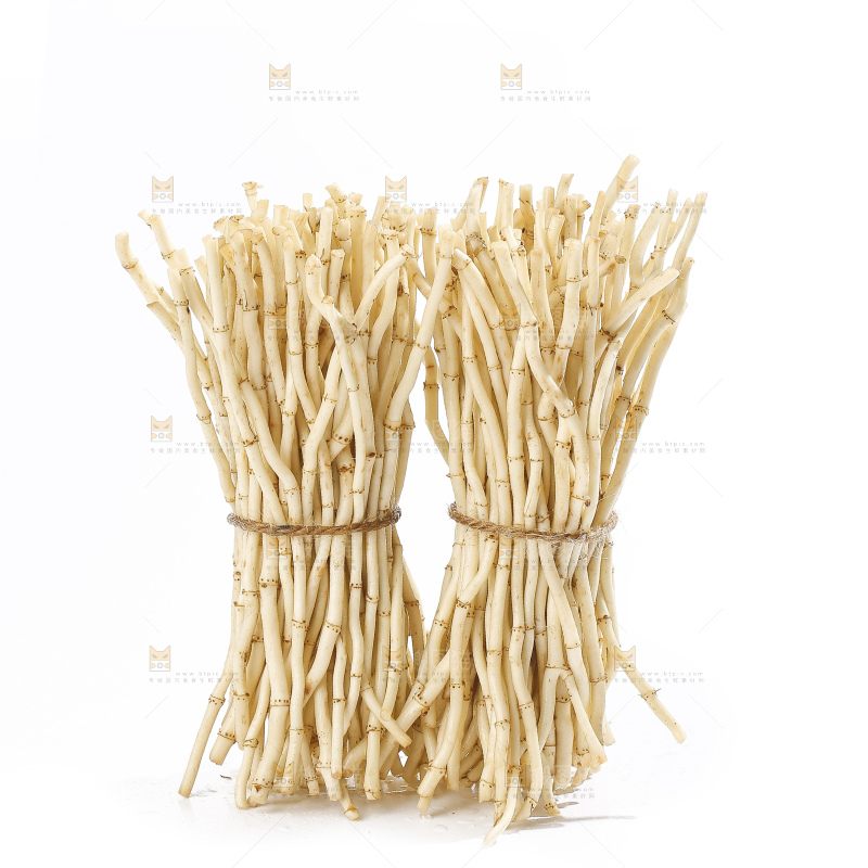 白底上的折耳根