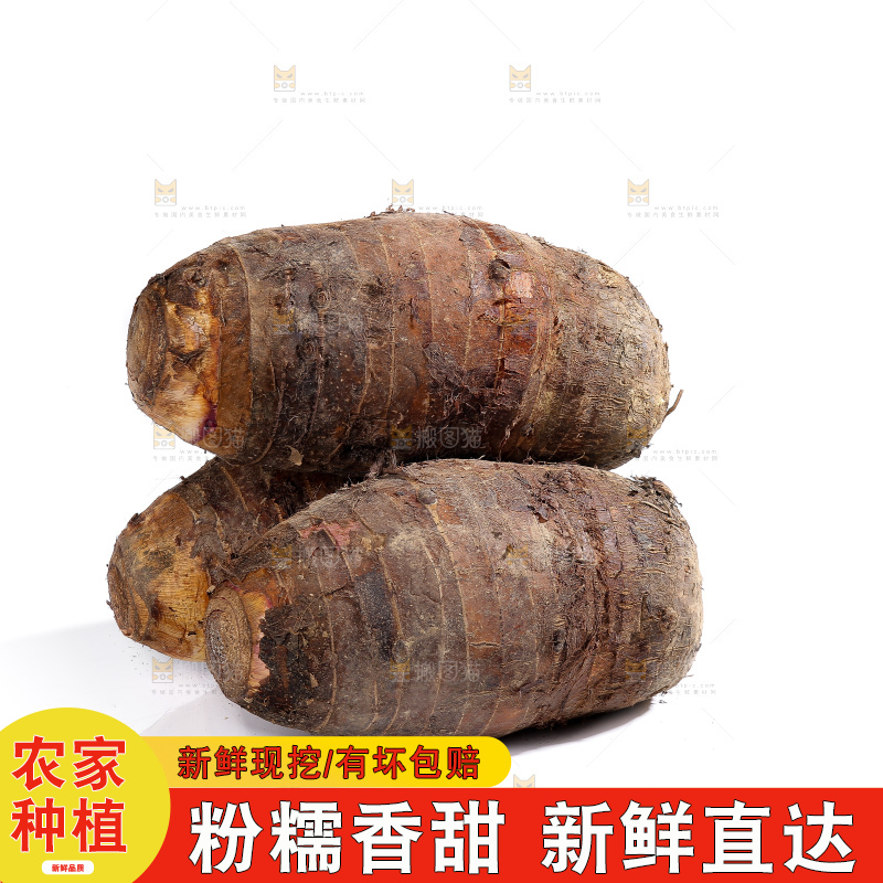 白底上的荔浦芋头