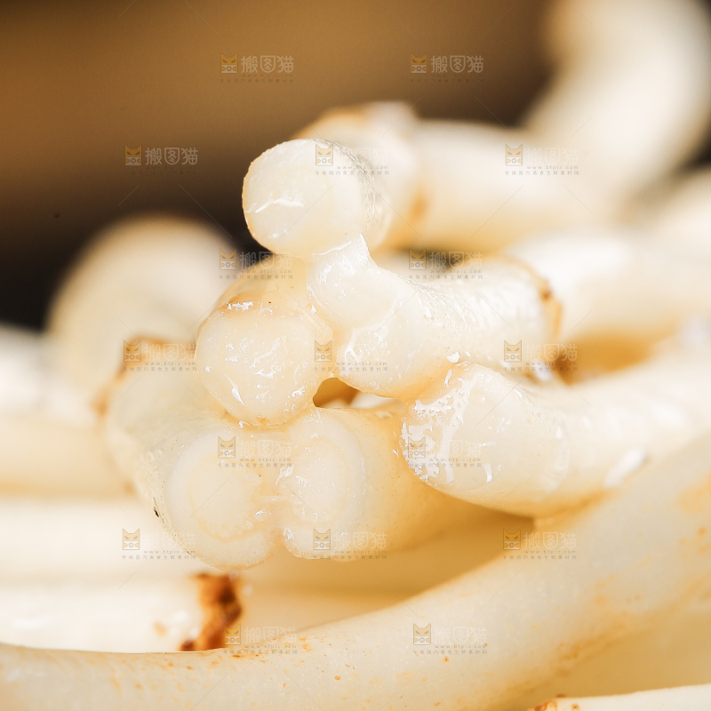 深底上的新鲜折耳根