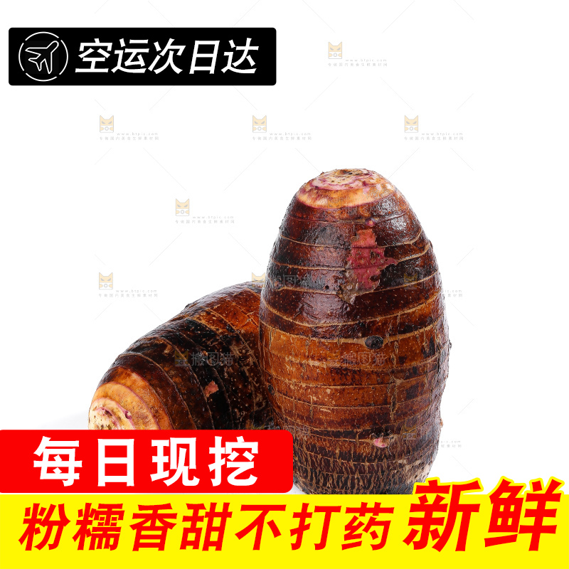 白底上的荔浦芋头