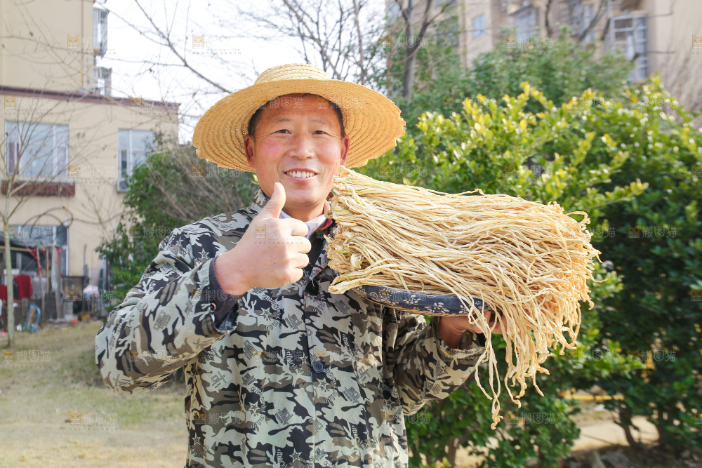 手里拿着干萝卜条